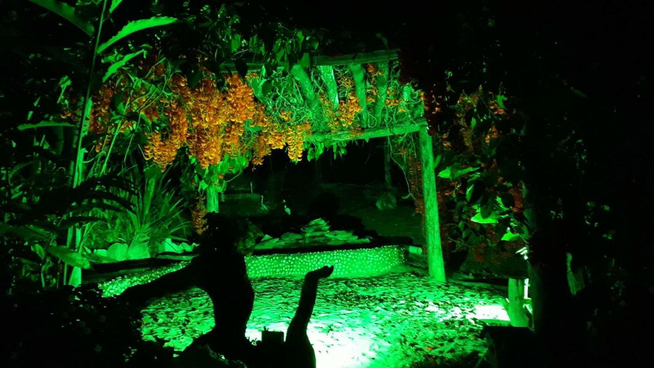 Pousada Cachoeira Poco Encantado Alto Paraíso de Goiás Eksteriør bilde